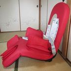 本体 本体