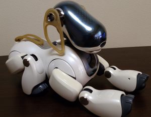 アイボ 本体