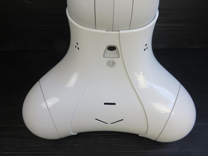 ペッパー Pepper