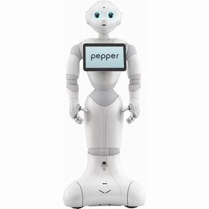 ペッパー(Pepper)