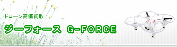 ジーフォース G-FORCE買取