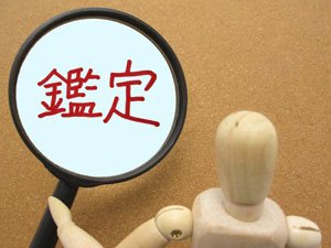 交渉すればする程、経験値の上がる査定業務