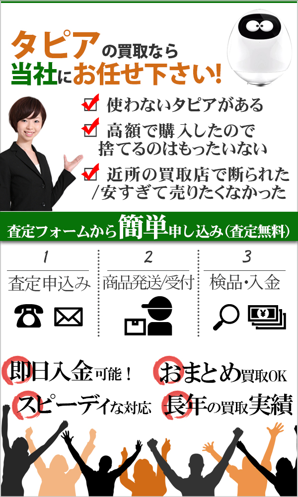 MJI TAPIA タピア みまもりロボット 高価買取