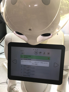 ペッパー ネットワーク設定 エラー