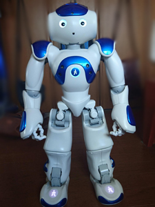 2足歩行 ヒューマノイドロボット ナオ