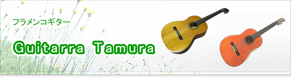 Guitarra Tamura買取