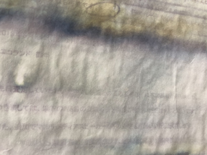 濡れた 身分証明書のコピー