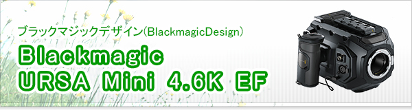 Blackmagic URSA Mini 4.6K EF買取