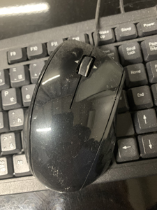 マウス クリーニング