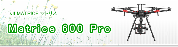 Matrice 600 Pro買取