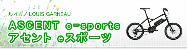 ASCENT e-sports アセント eスポーツ買取