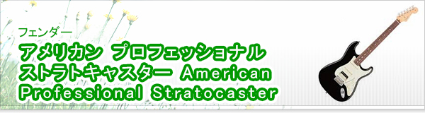 アメリカン プロフェッショナル ストラトキャスター American Professional Stratocaster買取