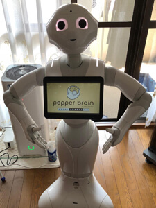 ペッパー Pepperの高価買取のポイント