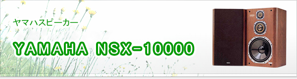 YAMAHA NSX-10000買取