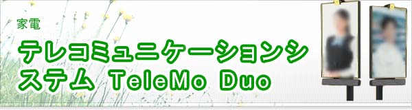テレコミュニケーションシステム TeleMo Duo買取