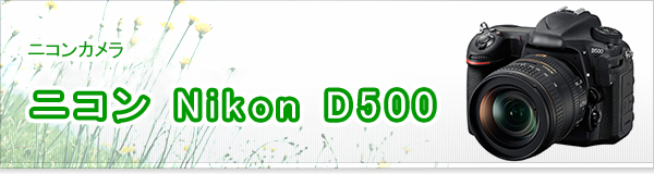 ニコン Nikon D500買取