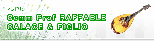 Comm Prof RAFFAELE CALACE & FIGLIO買取