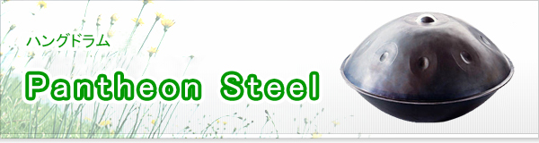 Pantheon Steel買取