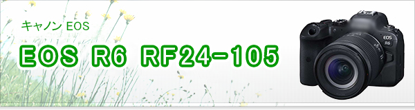 EOS R6 RF24-105買取