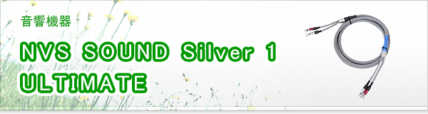 NVS SOUND Silver 1 ULTIMATE買取
