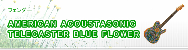 AMERICAN ACOUSTASONIC TELECASTER BLUE FLOWER買取