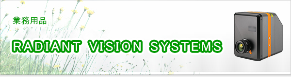 RADIANT VISION SYSTEMS買取