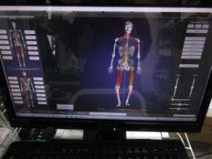 peek a body ピーク ア ボディ 動作確認