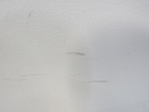 神経波磁力線発生器 側面パネル 横方向 スレキズ数本