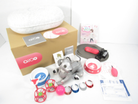 SONY ERS-1000 黒ごまエディション 中古