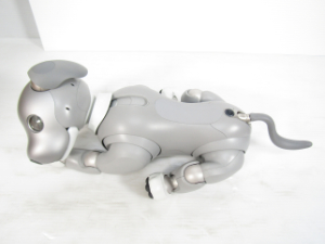 aibo 黒ごま エディション 動作確認