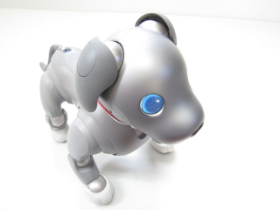 アイボ 黒ごまエディション 中古