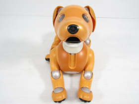 アイボ キャラメル エディション 中古