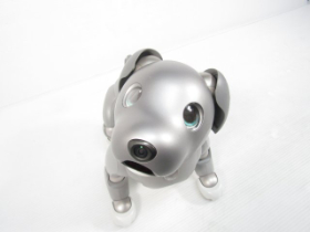 アイボ 黒ごまアイス 中古