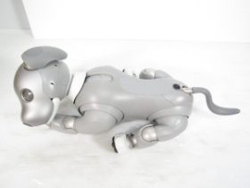 アイボ 黒ごまエディション 中古