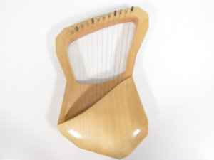 ライアー 簡易チェック