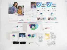 ヒーリー プロフェッショナル エディション 中古